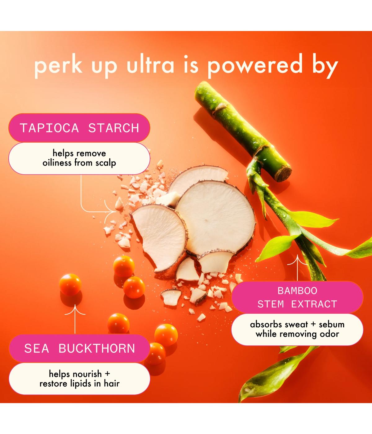 Amika Perk Up Plus Ultra Oil Control Dry Shampoo 250ml