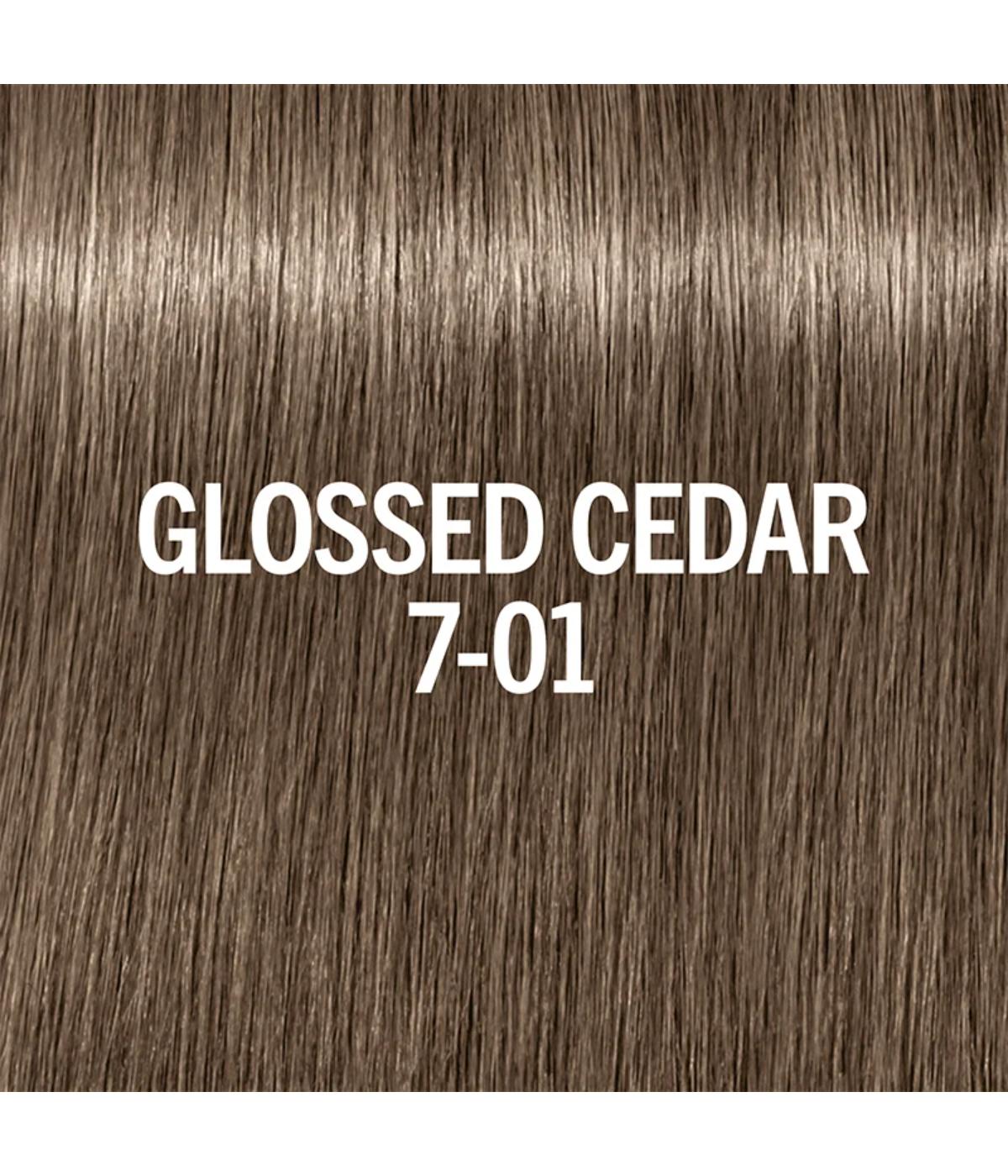 SC BM Acidic Glow Toner - Glossed Cedar